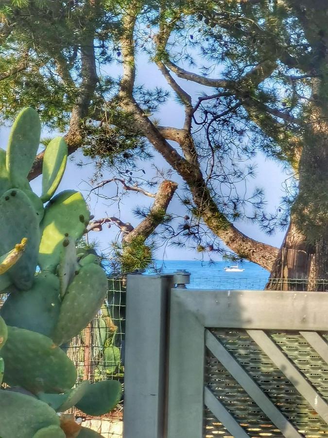 Trullo Seaside Polignano Villa Polignano a Mare Eksteriør bilde